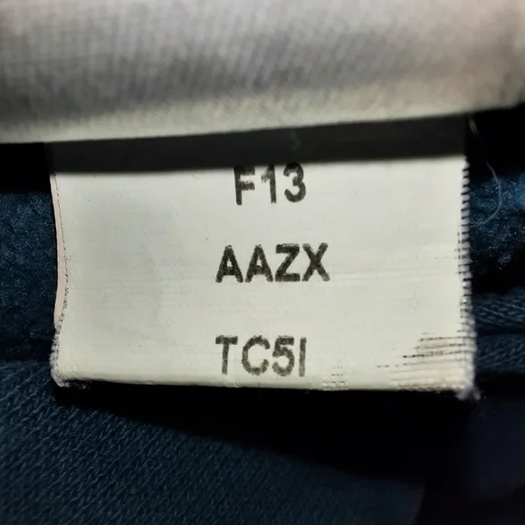 The North Face Blue Graphic Pull-over Hoodie SZ L - Picture 8 of 11